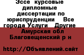 Эссе, курсовые, дипломные, диссертации по юриспруденции! - Все города Услуги » Другие   . Амурская обл.,Благовещенский р-н